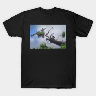 Water Scene with Dead Logs T-Shirt